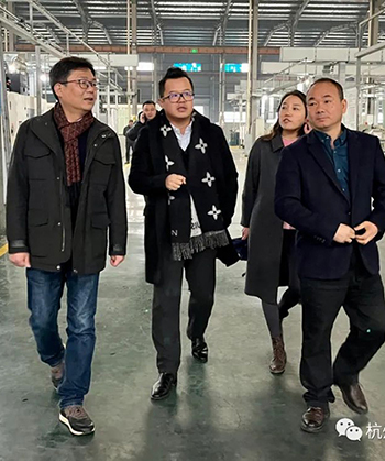Overseas Chinese Federation Assisting Enterprises | Hangzhou Overseas Chinese Federation Leaders Visiting Panasia for Research